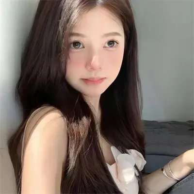 菜鸟囧探